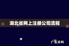 湖北省网上注册公司流程