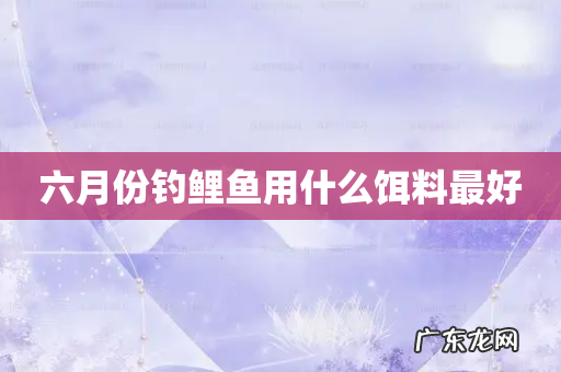 六月份钓鲤鱼用什么饵料最好