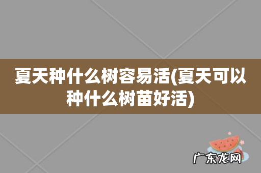 夏天可以种什么树苗好活 夏天种什么树容易活