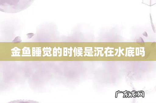 金鱼睡觉的时候是沉在水底吗