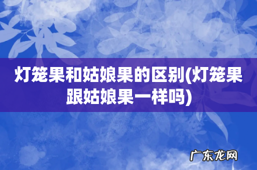 灯笼果跟姑娘果一样吗 灯笼果和姑娘果的区别