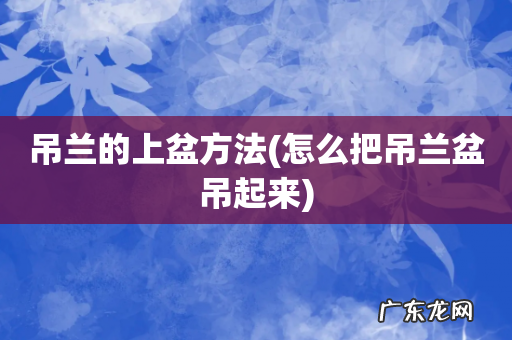 怎么把吊兰盆吊起来 吊兰的上盆方法