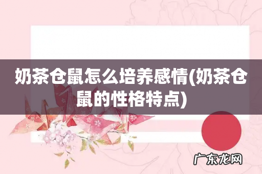 奶茶仓鼠的性格特点 奶茶仓鼠怎么培养感情