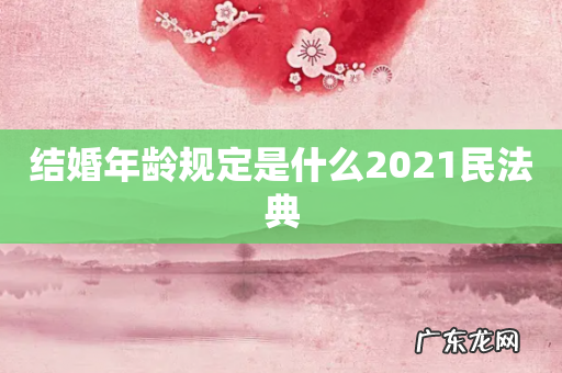 结婚年龄规定是什么2021民法典