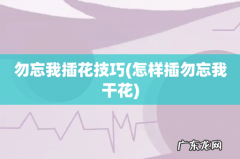 怎样插勿忘我干花 勿忘我插花技巧