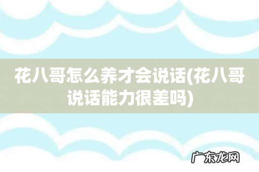 花八哥说话能力很差吗 花八哥怎么养才会说话
