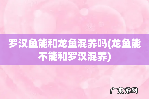 龙鱼能不能和罗汉混养 罗汉鱼能和龙鱼混养吗