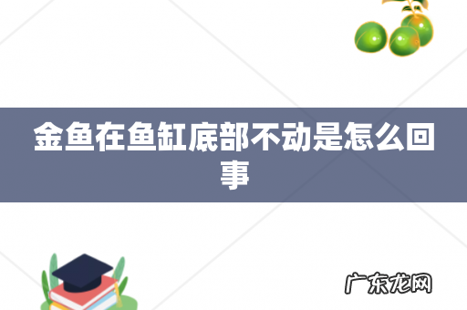 金鱼在鱼缸底部不动是怎么回事