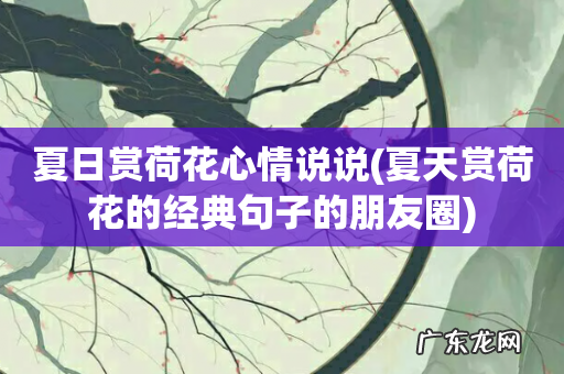 夏天赏荷花的经典句子的朋友圈 夏日赏荷花心情说说