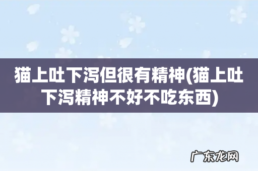 猫上吐下泻精神不好不吃东西 猫上吐下泻但很有精神