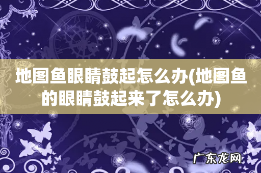 地图鱼的眼睛鼓起来了怎么办 地图鱼眼睛鼓起怎么办