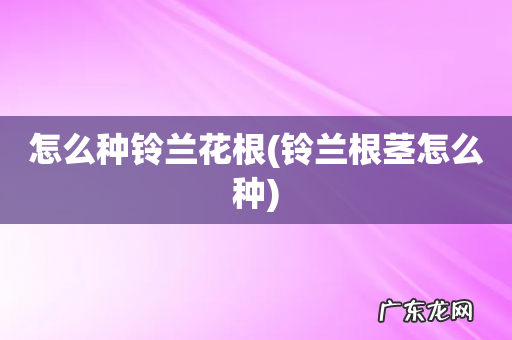 铃兰根茎怎么种 怎么种铃兰花根