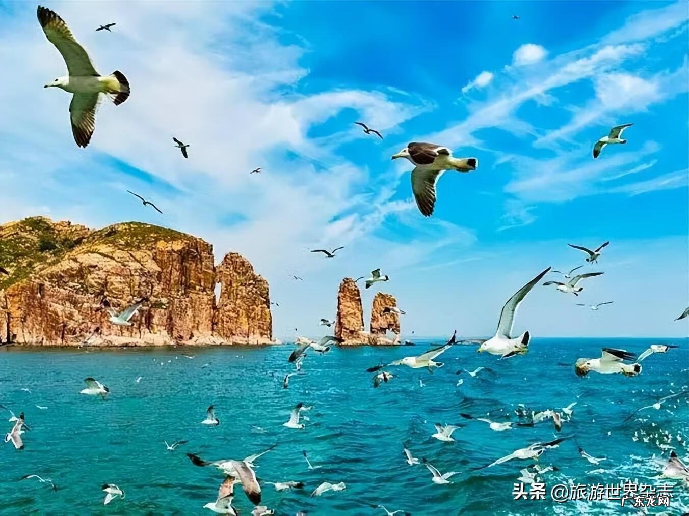 风景视频 海滩风景