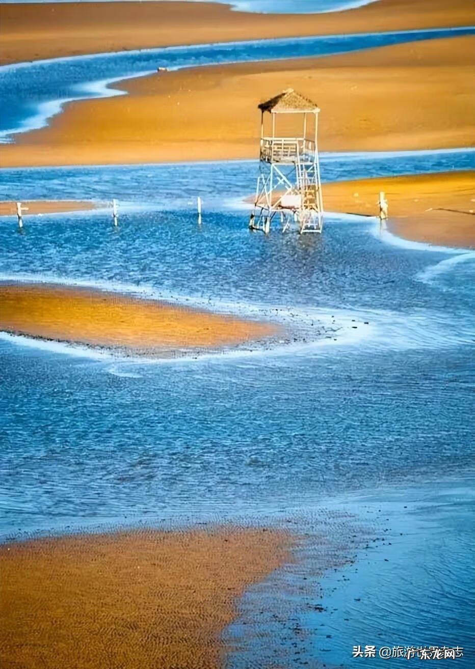 风景视频 海滩风景