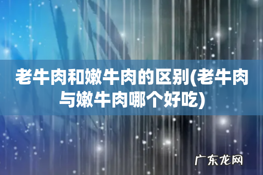 老牛肉与嫩牛肉哪个好吃 老牛肉和嫩牛肉的区别