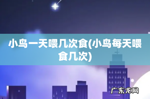 小鸟每天喂食几次 小鸟一天喂几次食