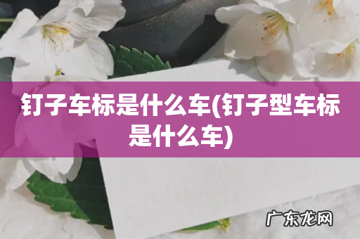 钉子型车标是什么车 钉子车标是什么车