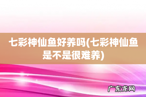 七彩神仙鱼是不是很难养 七彩神仙鱼好养吗