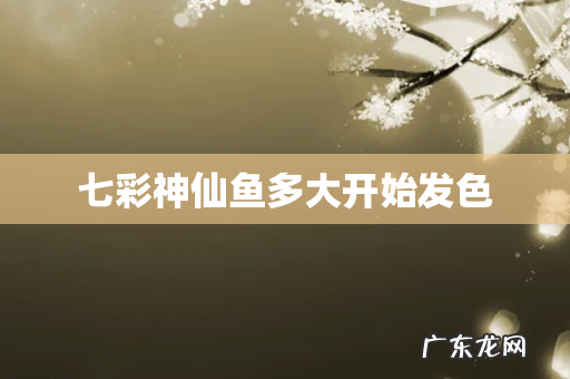 七彩神仙鱼多大开始发色