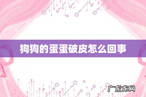 狗狗的蛋蛋破皮怎么回事