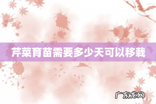 芹菜育苗需要多少天可以移栽