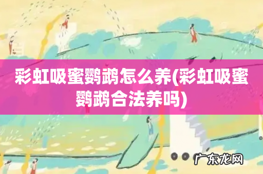 彩虹吸蜜鹦鹉合法养吗 彩虹吸蜜鹦鹉怎么养