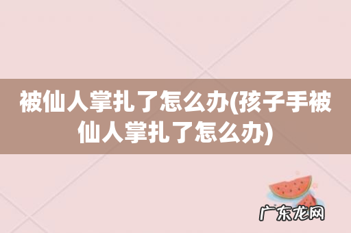 孩子手被仙人掌扎了怎么办 被仙人掌扎了怎么办