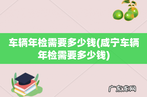 咸宁车辆年检需要多少钱 车辆年检需要多少钱