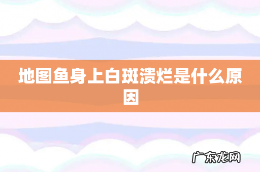 地图鱼身上白斑溃烂是什么原因
