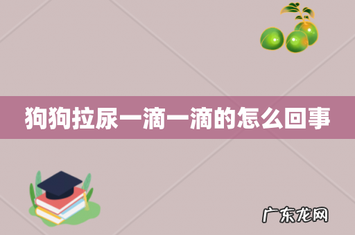 狗狗拉尿一滴一滴的怎么回事