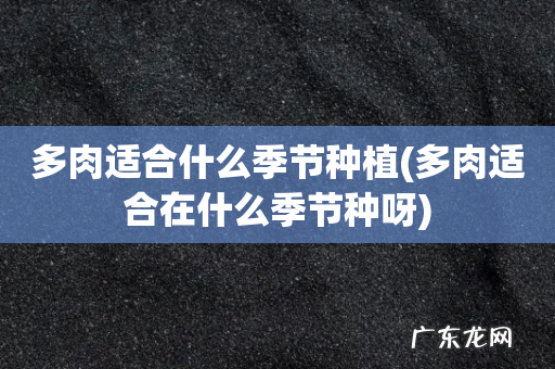 多肉适合在什么季节种呀 多肉适合什么季节种植