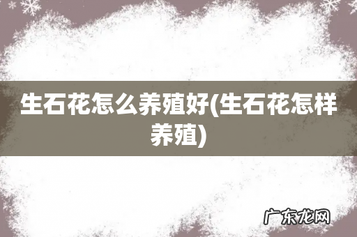 生石花怎样养殖 生石花怎么养殖好