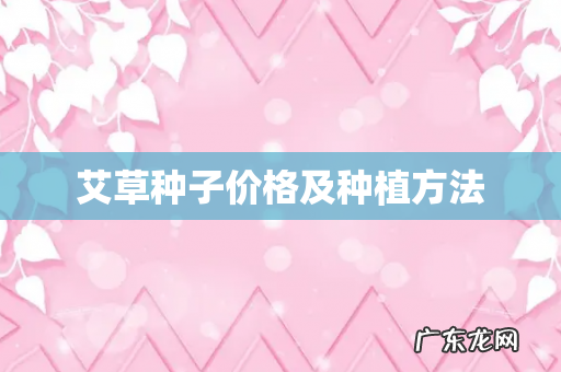 艾草种子价格及种植方法