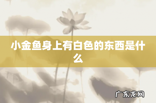 小金鱼身上有白色的东西是什么