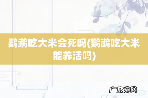 鹦鹉吃大米能养活吗 鹦鹉吃大米会死吗