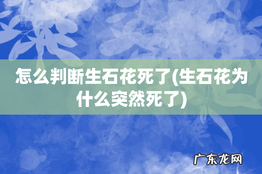 生石花为什么突然死了 怎么判断生石花死了