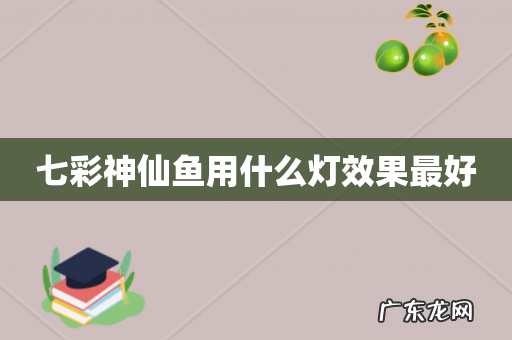 七彩神仙鱼用什么灯效果最好