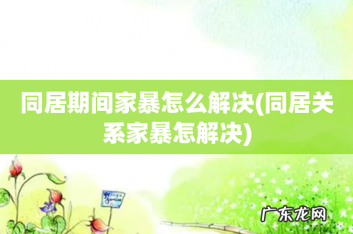 同居关系家暴怎解决 同居期间家暴怎么解决