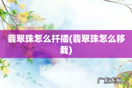 翡翠珠怎么移栽 翡翠珠怎么扦插