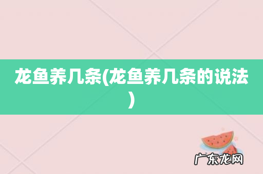 龙鱼养几条的说法 龙鱼养几条