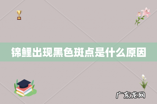 锦鲤出现黑色斑点是什么原因