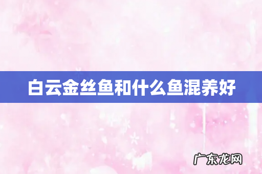 白云金丝鱼和什么鱼混养好