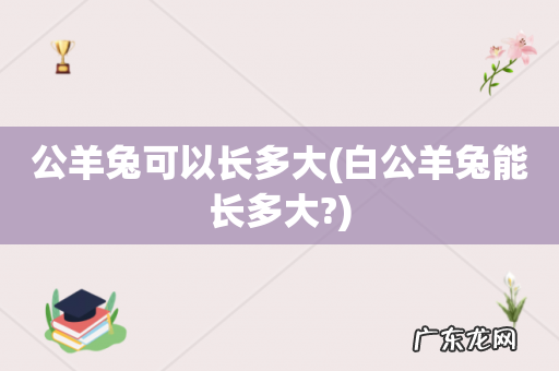 白公羊兔能长多大? 公羊兔可以长多大