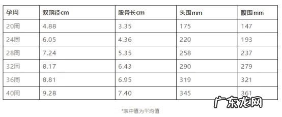 胎位ROA是什么位置 产检胎位roa是什么意思
