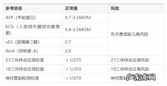 胎位ROA是什么位置 产检胎位roa是什么意思