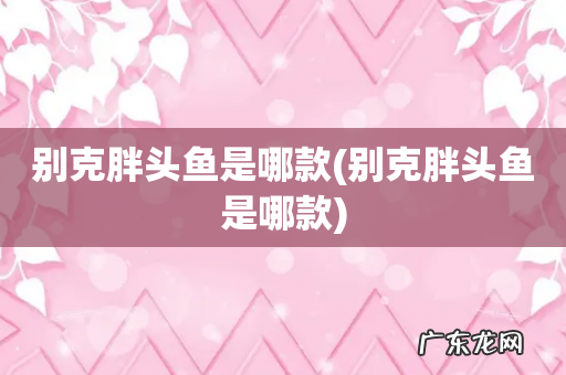 别克胖头鱼是哪款 别克胖头鱼是哪款