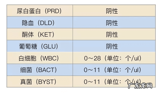 胎位ROA是什么位置 产检胎位roa是什么意思