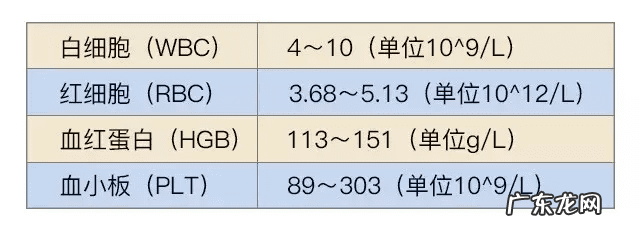 胎位ROA是什么位置 产检胎位roa是什么意思