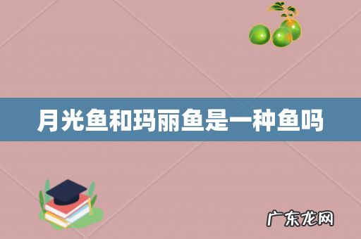 月光鱼和玛丽鱼是一种鱼吗