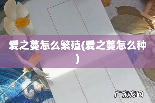 爱之蔓怎么种 爱之蔓怎么繁殖